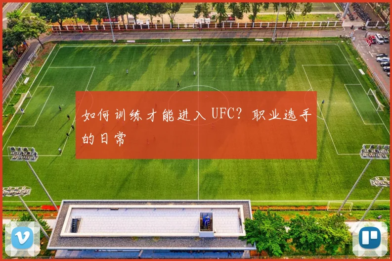 如何训练才能进入 UFC？职业选手的日常