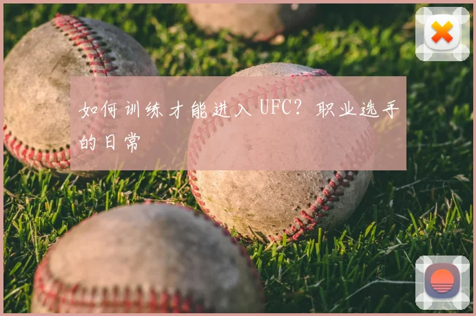 如何训练才能进入 UFC？职业选手的日常