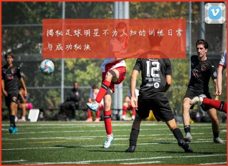 揭秘足球明星不为人知的训练日常与成功秘诀